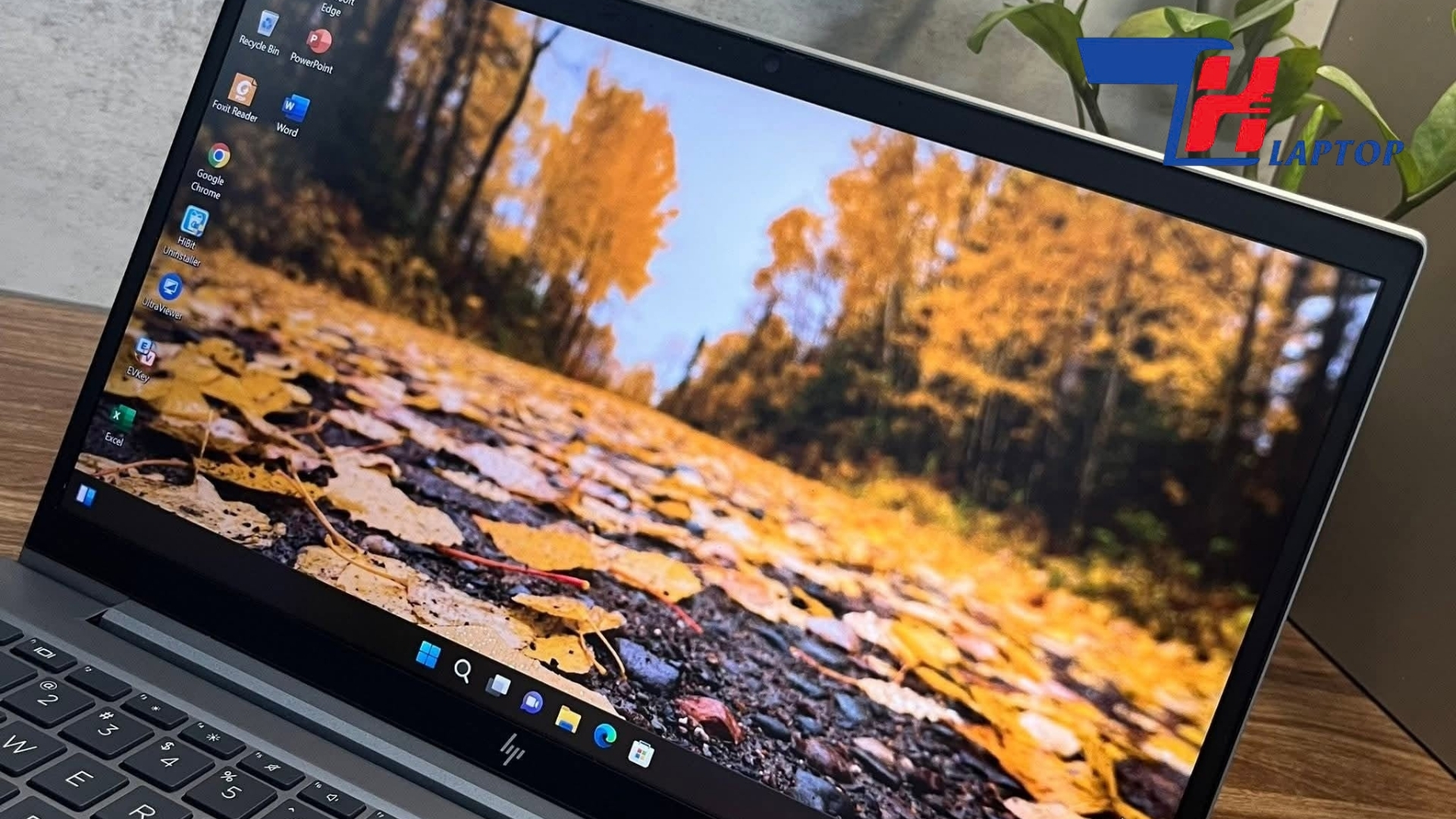 Laptop Có Cần Card Đồ Họa Rời Không Khi Chỉ Làm Việc Văn Phòng? | Laptop Biên Hòa