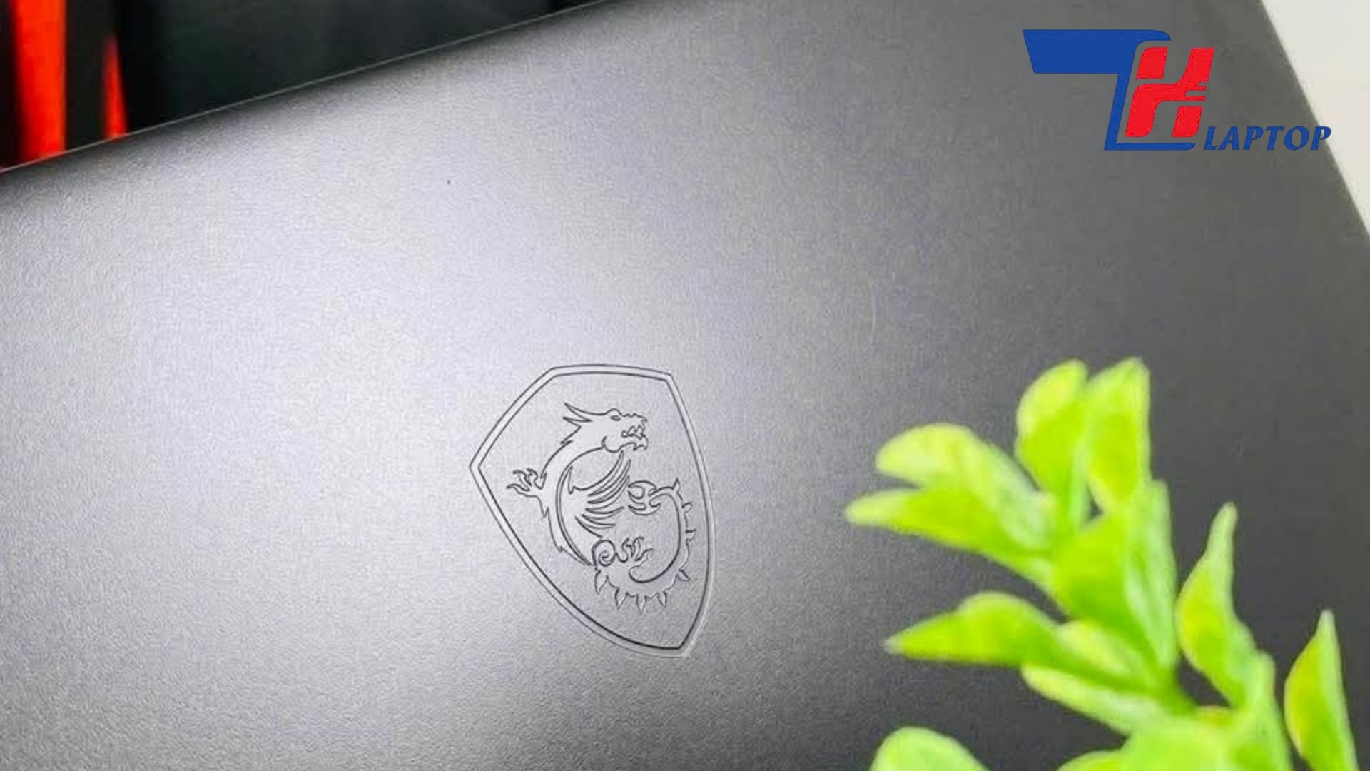 Laptop Gaming: Ưu Tiên Hiệu Năng, Tản Nhiệt Hay Màn Hình? | Laptop Biên Hòa